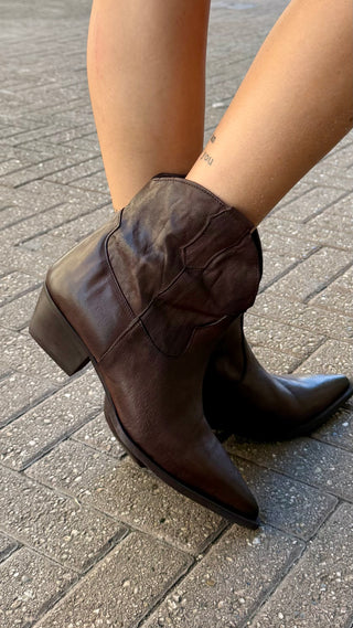 Texano Olyster Divine Follie