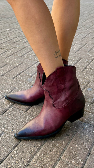 Texano Olyster Divine Follie