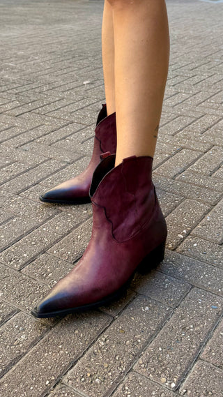 Texano Olyster Divine Follie