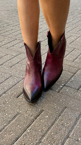 Texano Olyster Divine Follie